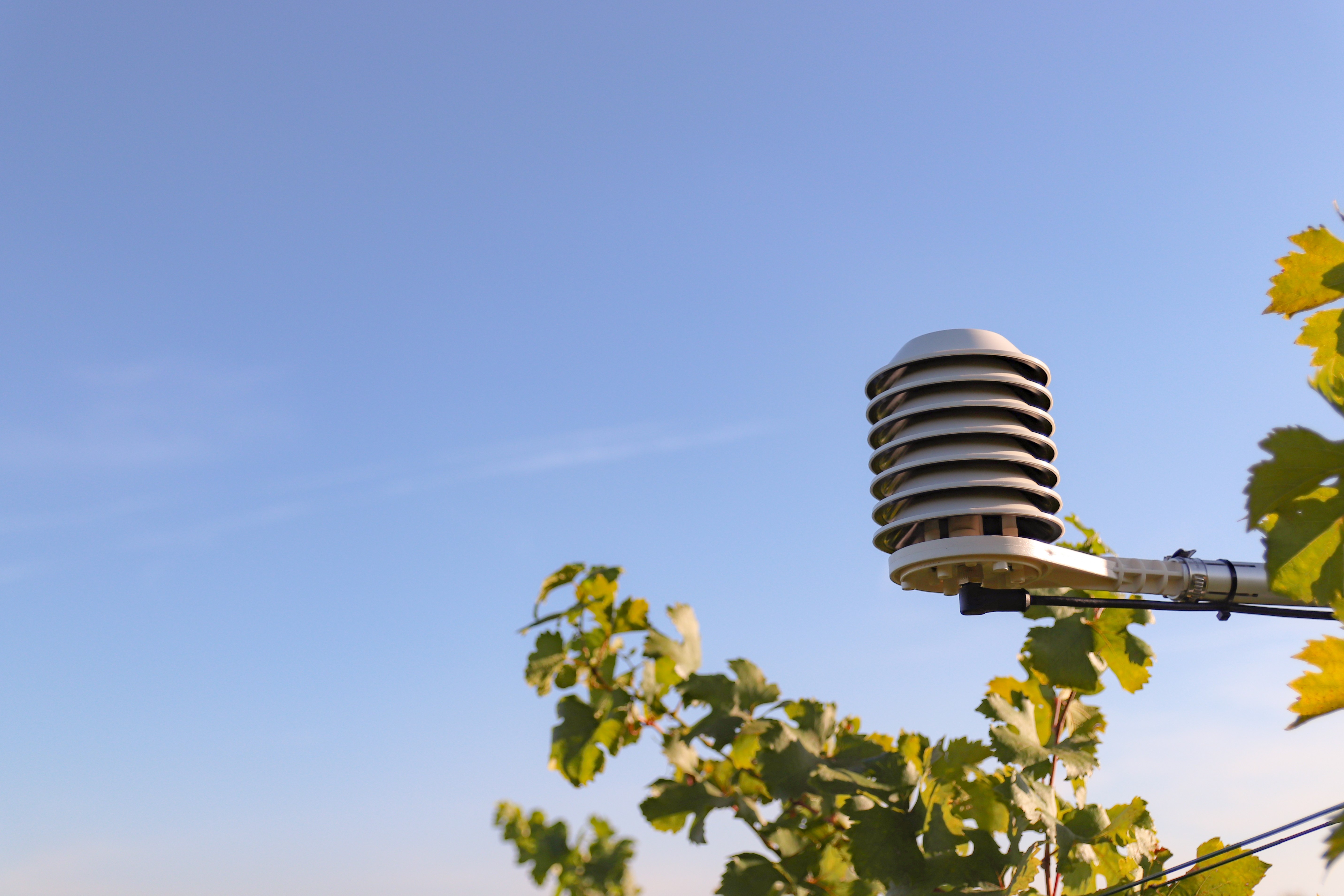 Adcon TR2 Kombisensor SDI mit Kabel + Schild