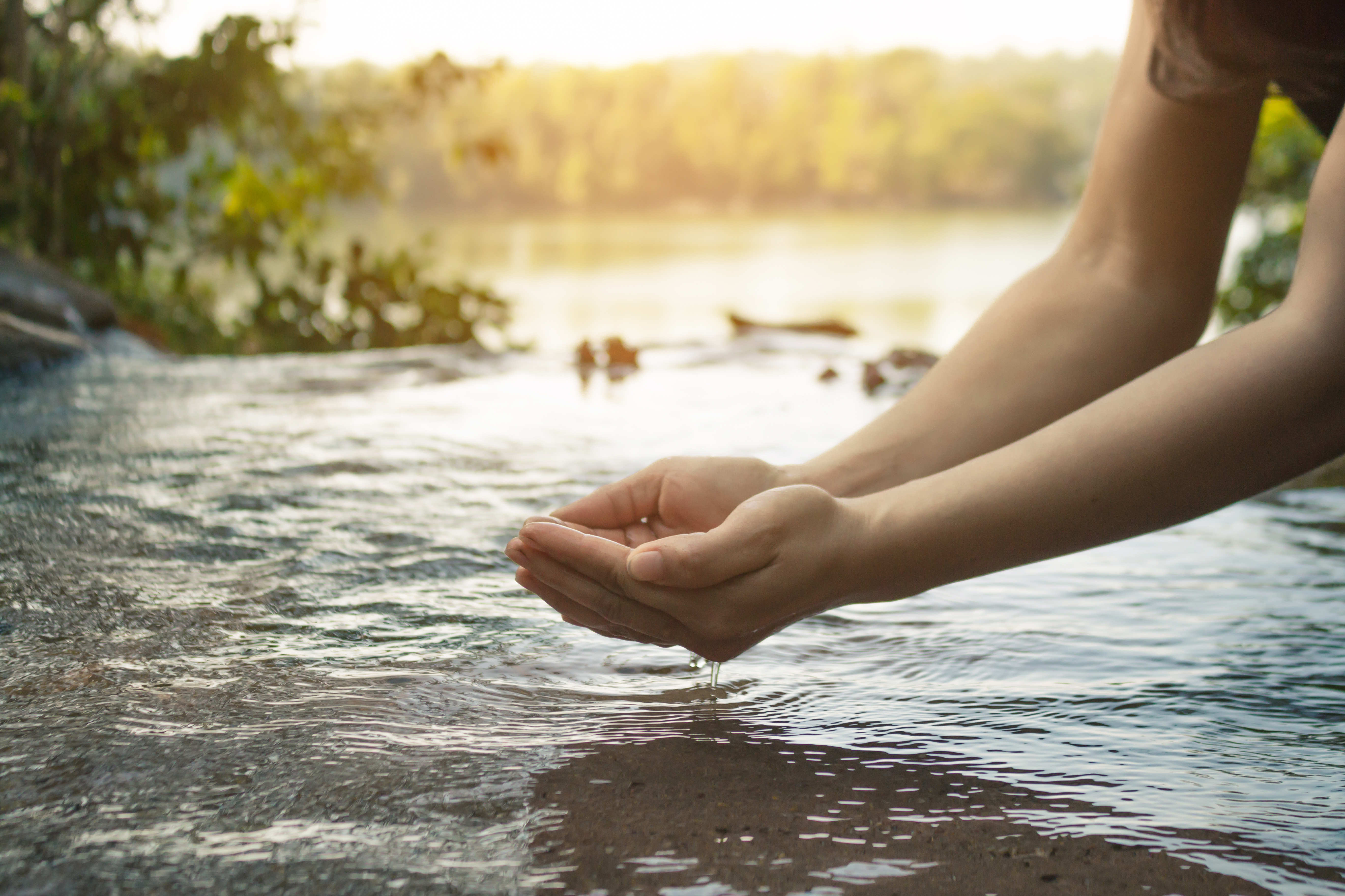 Woman's hands cupping water from a calm river