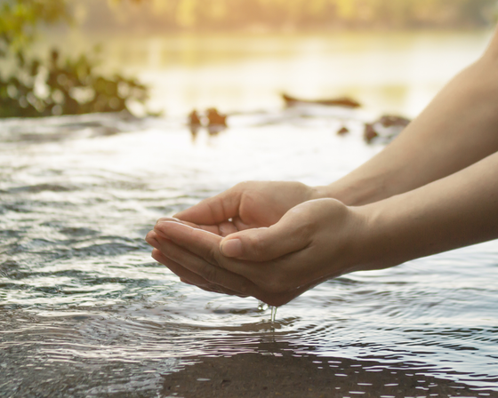 Woman's hands cupping water from a calm river