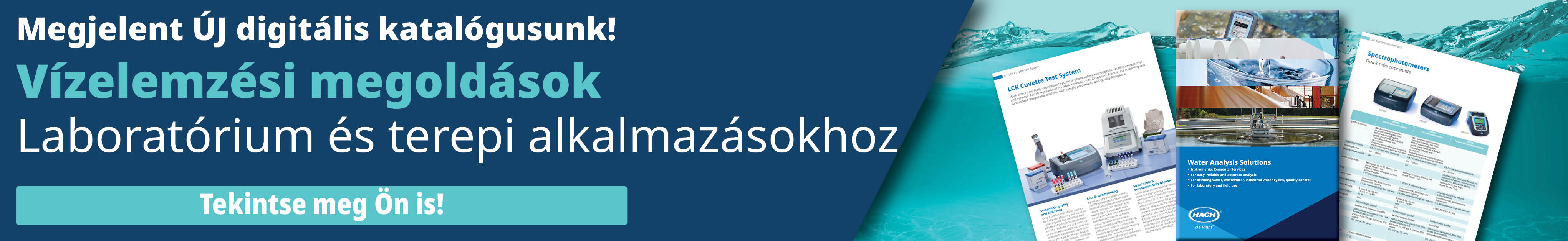 promo banner