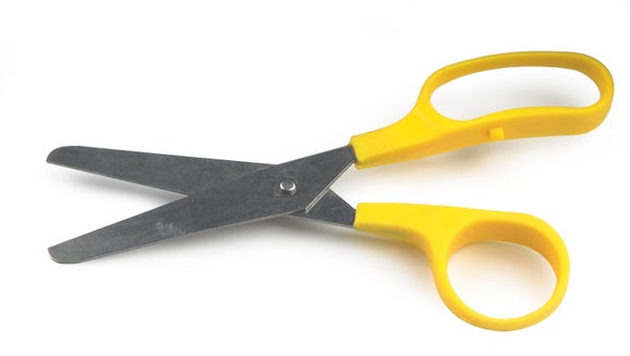 Scissors, Blunt Tip