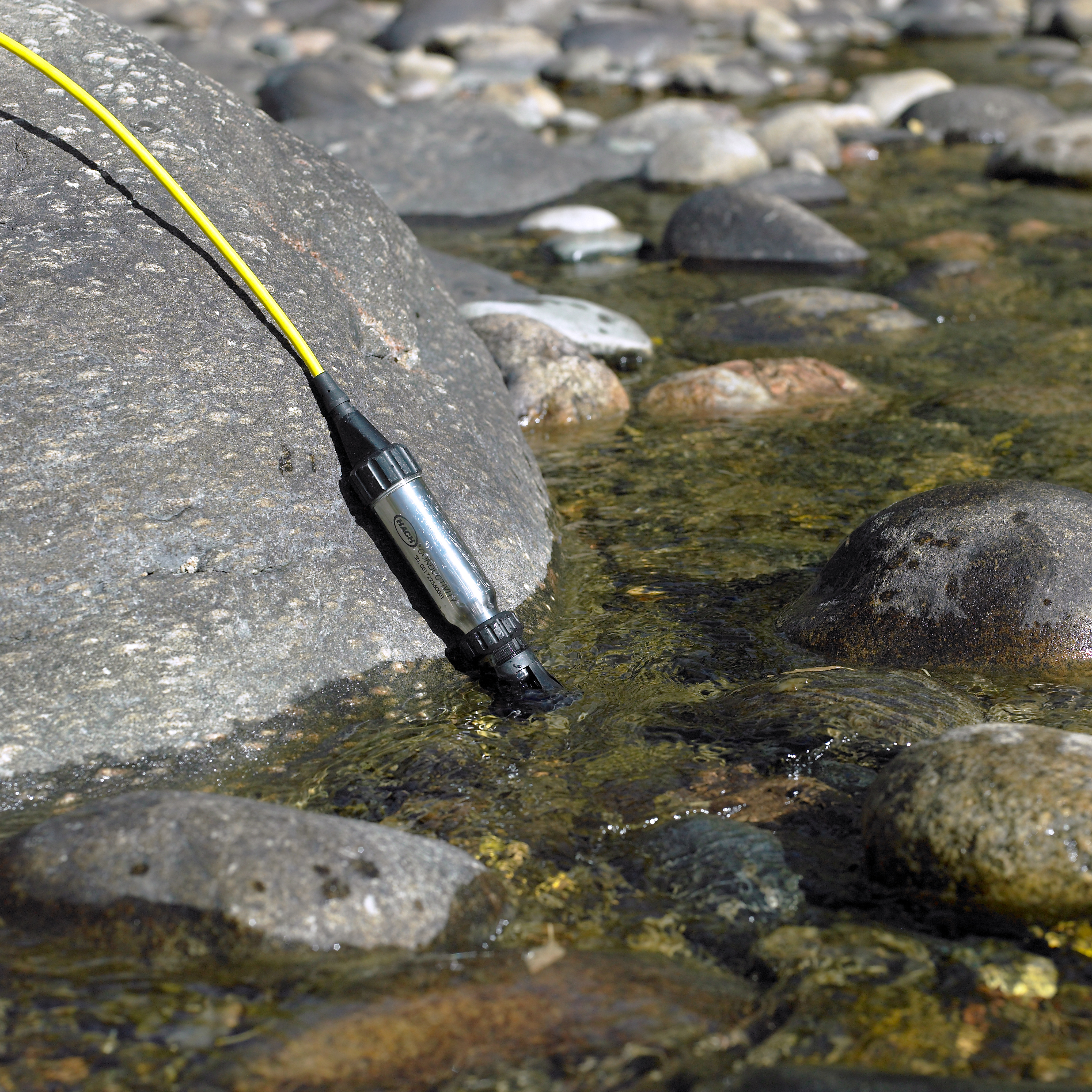 IntelliCAL LDO101 Field Luminescent/Optical Dissolved Oxygen