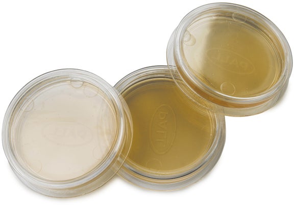 m-TEC, modified, prepared agar plates, pk/15